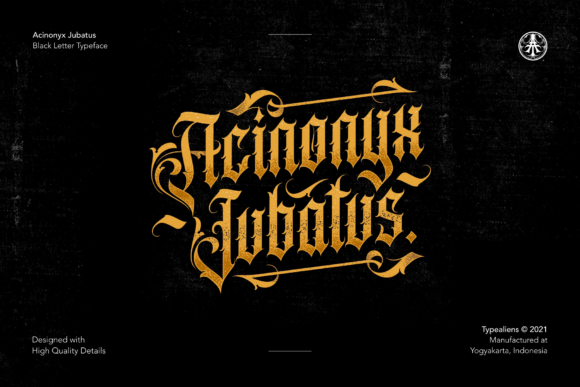 Acinonyx Jubatus: Bold Blackletter for Modern Design