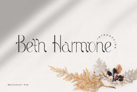 Beth Harmone: A Modern Twist on Classic Elegance