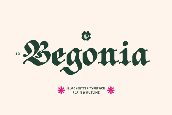 ED Begonia: Strategic Typography for Intentional Branding